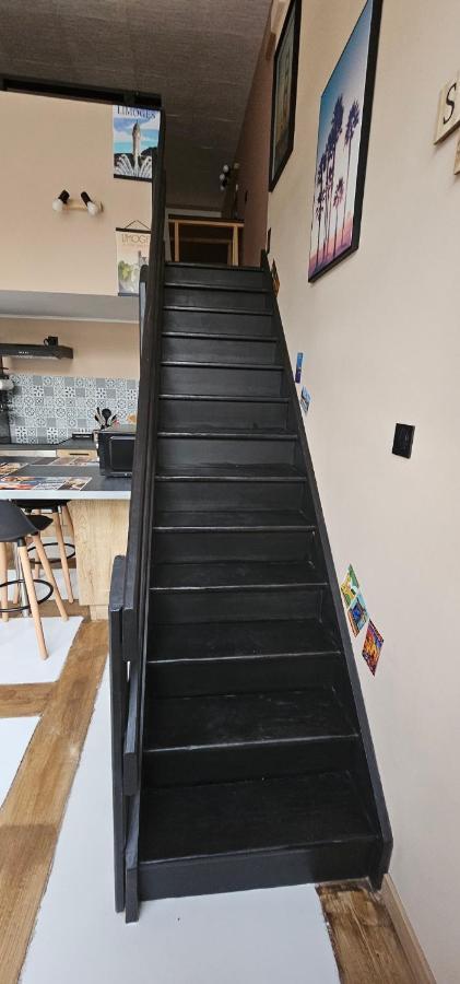 T2 Duplex Chez Lelie Home 里摩日 外观 照片